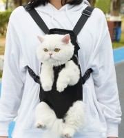 Cat Carry Bag Black